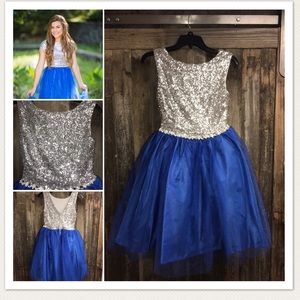 Party Dress/Winter Ball Gown